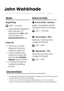 Resume Template For Fresher With Skill Section